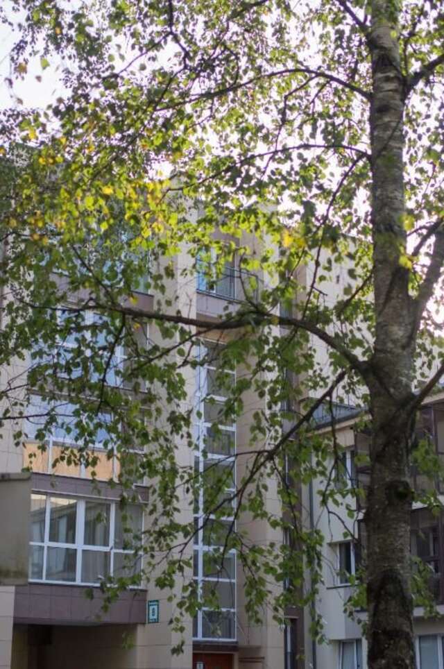 Апартаменты Snow Apartment Друскининкай-79